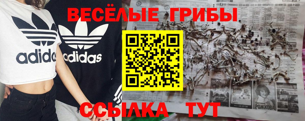 Галлюциногенные грибы Magic Shrooms  Вход с VPN  Артём 